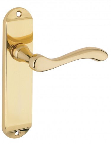 Zoo Hardware Door Handle, Arundel Polished Brass FB021