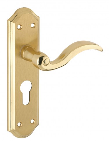 Zoo Hardware Door Handle, Winchester Florentine Satin/Polished Brass FB051