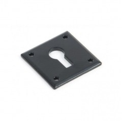 the anvil avon escutcheon